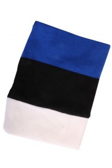 Eesti lipuvärvides torusall