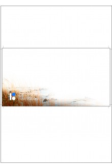 Ümbrikud 114 x 229 mm, 50 tk