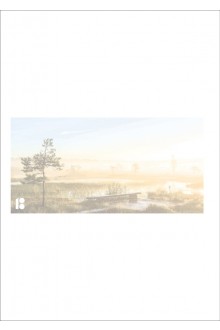 Envelopes with a picture of swamp, 114 x 229 mm, 50 pcs