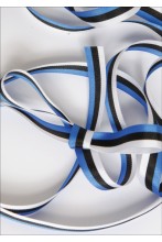 A ribbon in the colours of the national flag of Estonia — blue, black and white, 10 mm