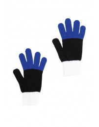 Gloves in the colours of the Estonian flag