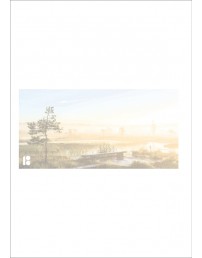 Envelopes with a picture of swamp, 114 x 229 mm, 10 pcs